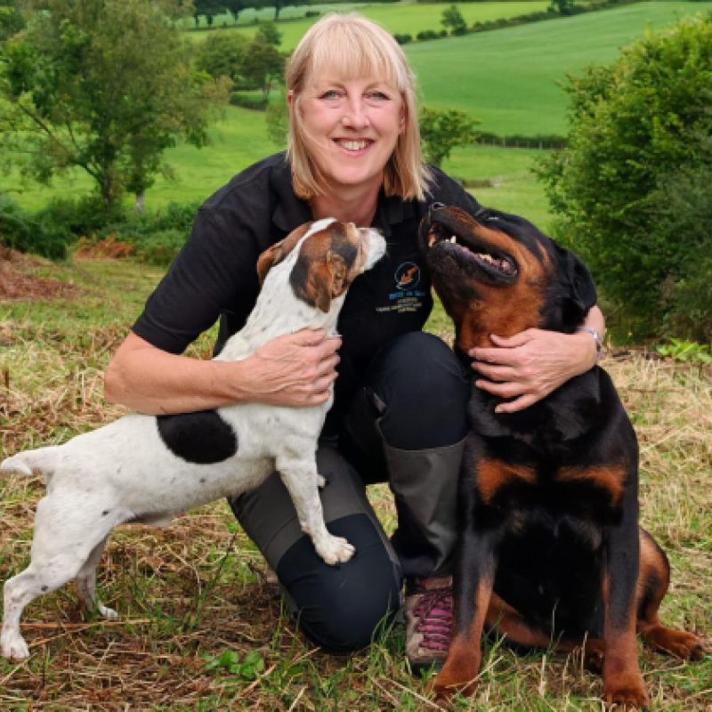 Excitability & Silliness Reset Day